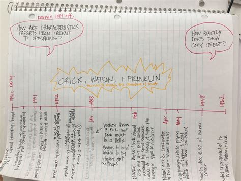 A Unit Study on DNA for Middle Schoolers — Michelle Kay Anderson