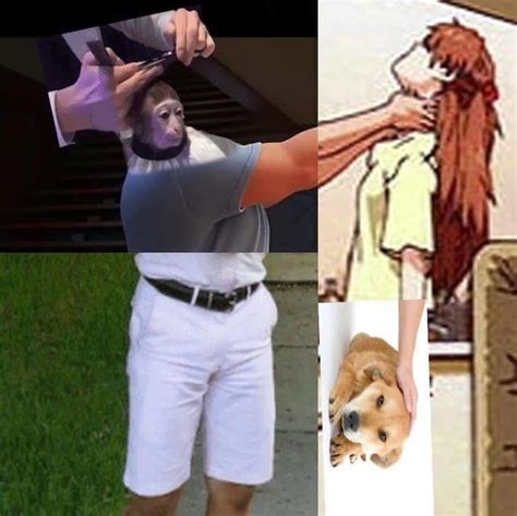 You know I had to do it to her | Monkey Haircut | Know Your Meme