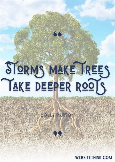 73+ Wise & Insighful Quotes About Roots! 🥇 [+ Images]