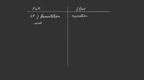 SOLVED:Muscular System | Human Biology 11th | Numerade