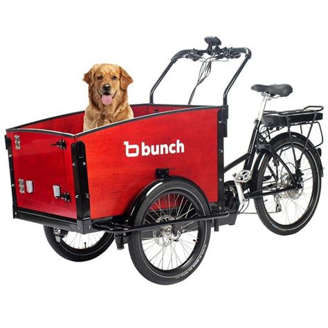 The K9 - Electric Cargo Bike for Dogs – Bunch Bikes