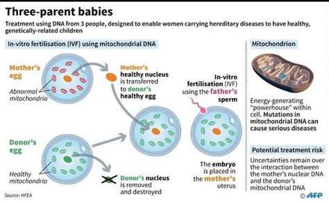 'Three-parent' baby born in Ukraine using new technique - Digital Journal