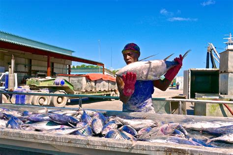 Kiribati gains authorisation to access the EU market. What does it means and how it works ...