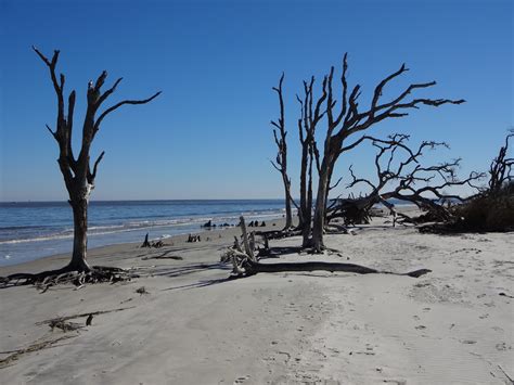 Historic Jekyll Island Shines on Georgia's Golden Isles - The World of Deej