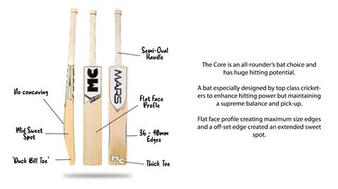 Choosing your Cricket Bat GUIDE | Mars Cricket