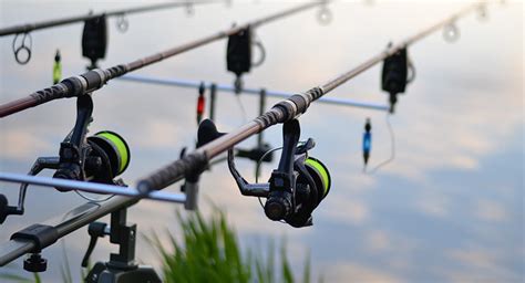 Beginners Guide To Feeder Fishing - TRIZILY.COM