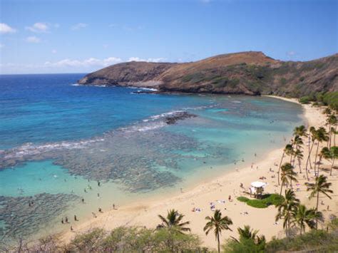 Inner Reef at Hanauma Bay - Learn how to Snorkel on Oahu Hawaii