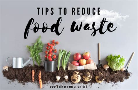 15 Tips to Reduce Food Waste - The Hobson Homestead