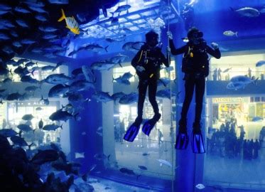 Dubai Aquarium and Underwater Zoo