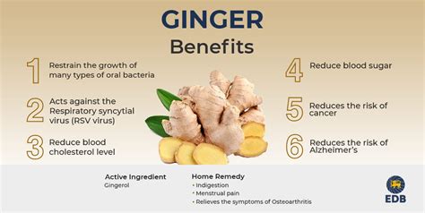 Benefits of Ginger from Sri Lanka - FAQ on Ceylon Spices - EDB Sri Lanka