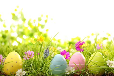 spring free wallpapers themed Happy Easter Wallpaper, Spring Desktop Wallpaper, Trendy Wallpaper ...
