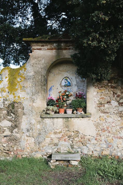 Pin by Gartner Szilvia on olive grove | Italy photography, Florence, Tuscany italy