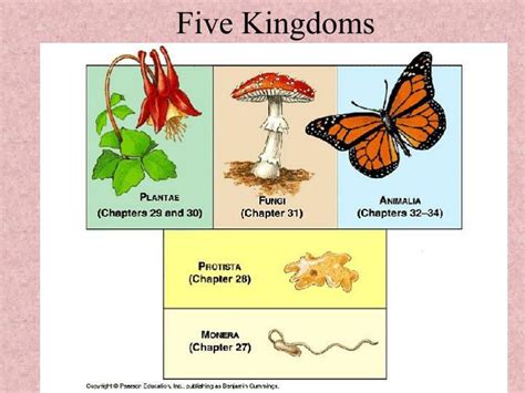 PPT - Chapter 15 Classification PowerPoint Presentation - ID:1818662