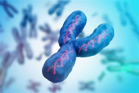 Y-Chromosome Short Tandem Repeats In Forensics- Sexing , Profiling And - Forensics Digest