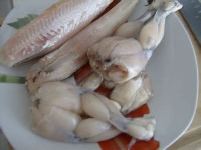 feliz: Clarissa's Frog Legs Soup: A Recipe