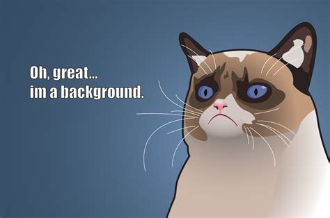 2560x1700 Resolution grumpy cat, tardar sauce, angry kitty Chromebook Pixel Wallpaper ...