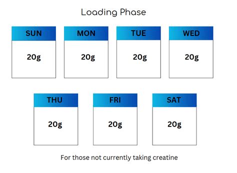 Creatine Loading Phase | Blog