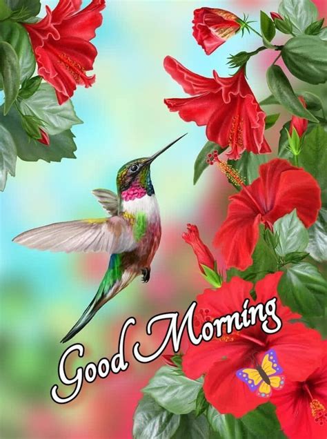 Pin by Aditi Kumari on Good morning photos | Hummingbirds photography ...