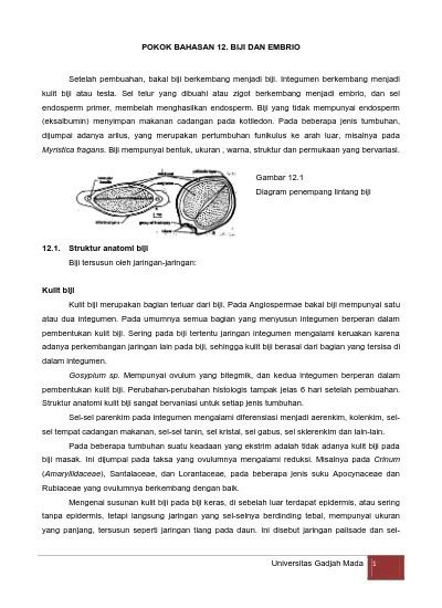 Struktur Luar Biji Benih / Pengertian Biji Macam Fungsi Bagian Dan Strukturnya Dosenpertanian ...