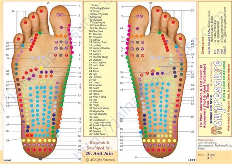 Pin on Traditional Chinese Medicine