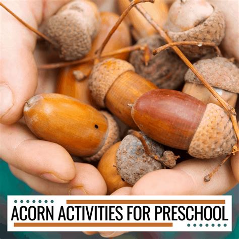 Acorn Activities for Preschool