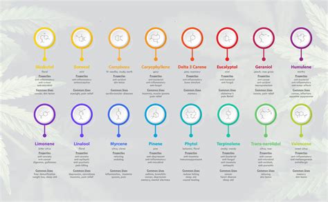 Know your terpenes – Kanna-lite