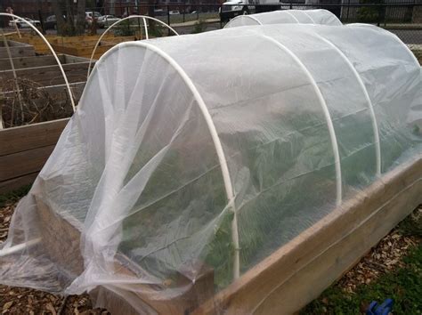 13 Amazing Benefits of a DIY Raised Garden Bed With Cover - The Owner ...