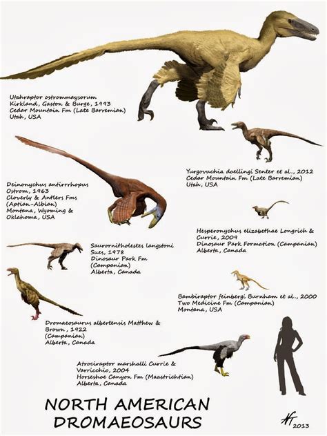 Dromaeosauridae - Alchetron, The Free Social Encyclopedia