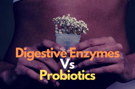 Digestive Enzymes Vs Probiotics – Key Differences Explained | Littlemedi