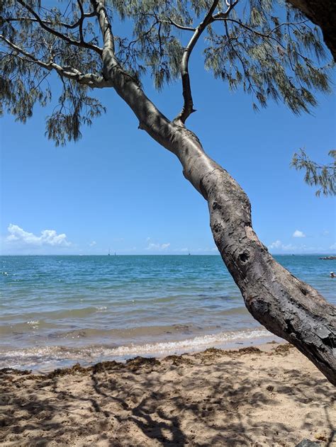 Raby Bay Dog Beach - Cleveland QLD 4163, Australia