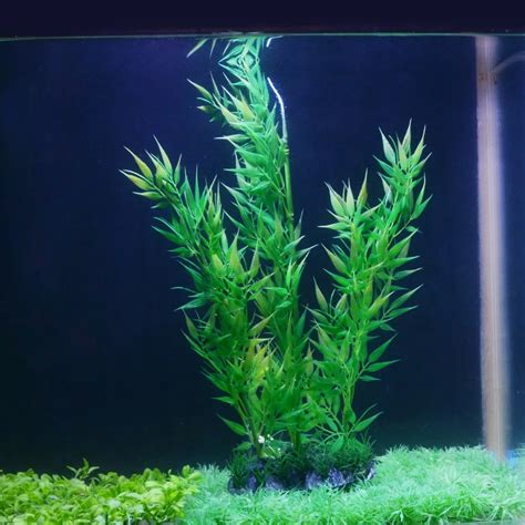 14.5" Plastic Artificial Aquarium Plants Fish Tank Aquatic Bamboo Leaves Acuario Big Size ...