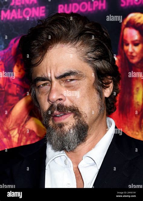 Benicio Del Toro attending the premiere of "Inherent Vice" in Los ...