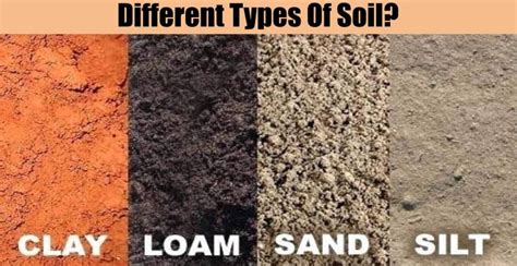 Different Types Of Soil? - Engineering Discoveries