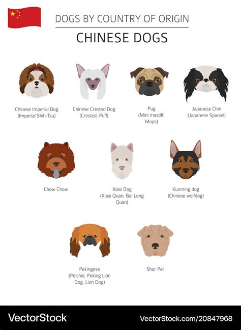 Chinese Dog Breeds