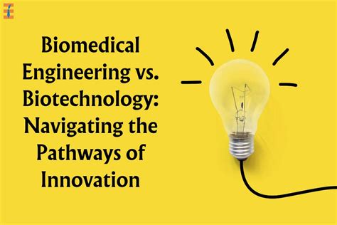 8 Best Differences Between Biotechnology And Bioengineering | Future ...