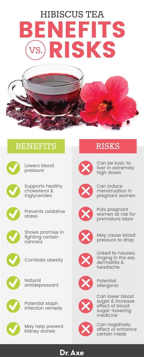 Can This Tea Really Combat Heart Disease, Obesity & Cancer? | Hibiscus ...