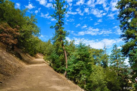 Tehachapi Mountain Park - Tehachapi, CA ©CJPD Studios | Tehachapi ...