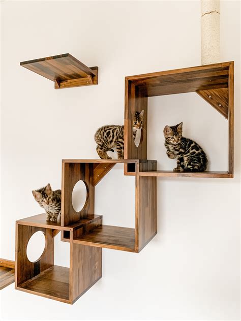 Cat Wall Furniture | Cat wall furniture, Cat shelves, Cat wall shelves