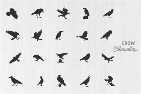 Raven Silhouette, Crow Silhouettes Graphic by Design_Lands · Creative Fabrica