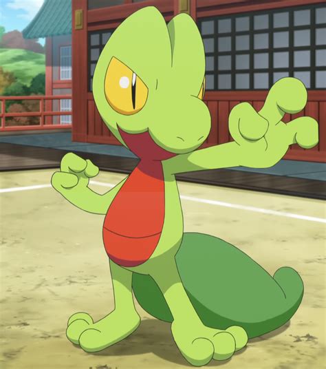 Image - Sawyer Treecko.png | Pokémon Wiki | Fandom powered by Wikia