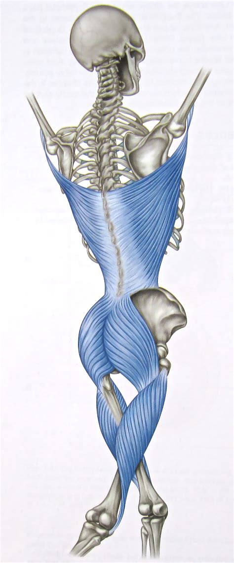 What Is The Treatment For Sacroiliac Joint Pain?