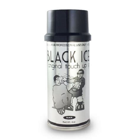 Black Ice Color Spray - Black 4oz BIC66226