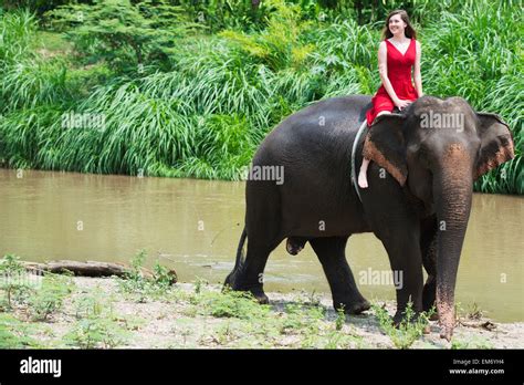 Girl riding an elephant; Chiang Mai, Thailand Stock Photo - Alamy