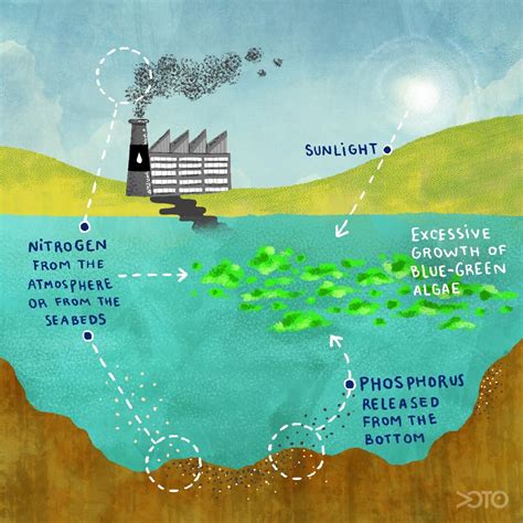 Algal Blooms Eutrophication