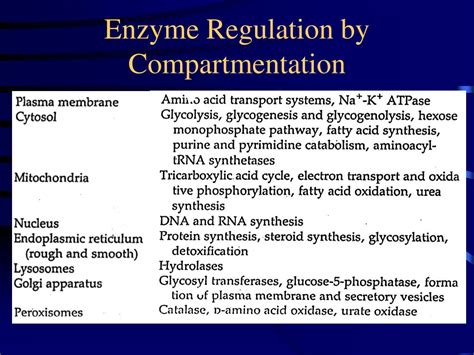 PPT - REGULATION OF ENZYME ACTIVITY PowerPoint Presentation, free download - ID:226568