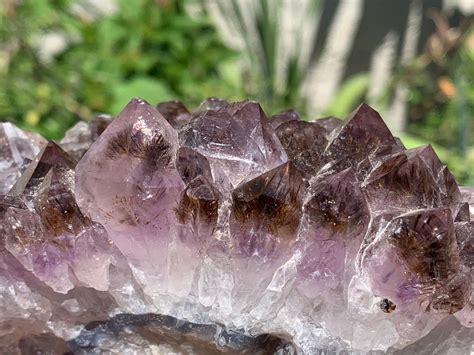 Large Rare Rutilated Amethyst Rutile Amethyst Natural | Etsy