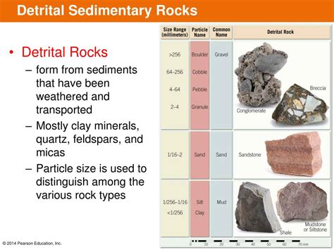 PPT - The Importance of Sedimentary Rocks PowerPoint Presentation, free ...