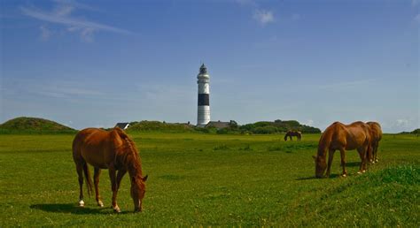 Visit Sylt: Best of Sylt Tourism | Expedia Travel Guide