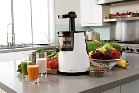 Complete Juicer Mixer Grinder Buying Guide - Rebecca Berto