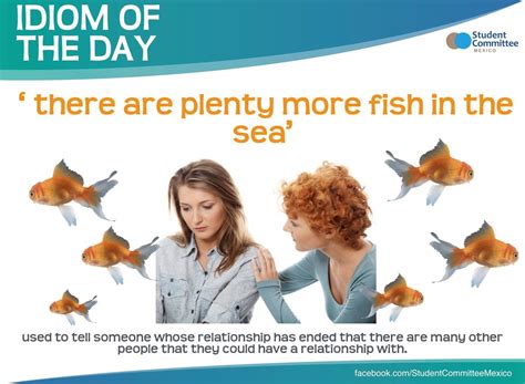 'there are plenty more fish in the sea' IDIOM OF THE DAY | Aprender ...